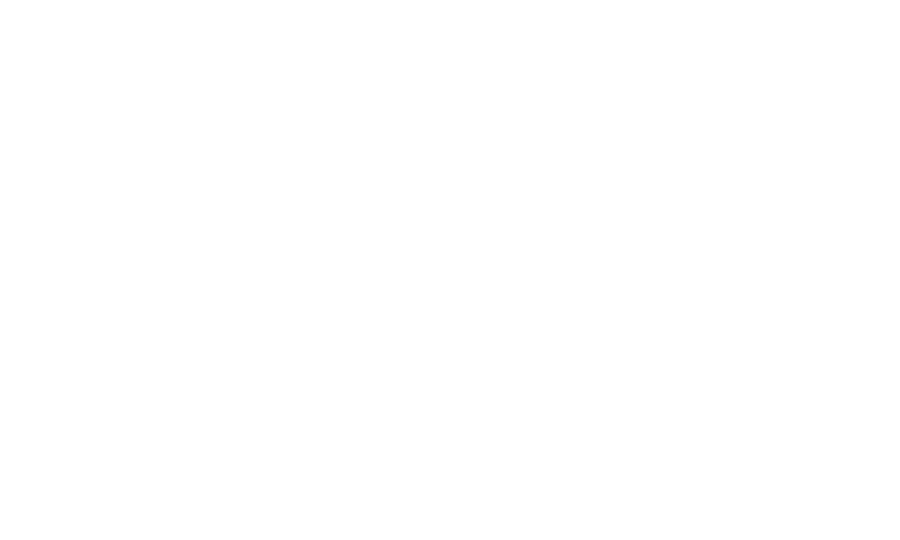 Phone Plug